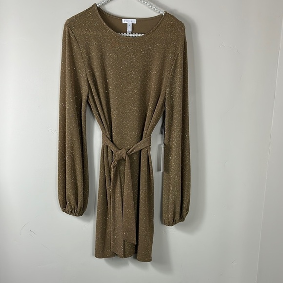 Leith Brown Sparkle Long-Sleeve Tie Waist Dress Small NWT - Picture 3 of 10